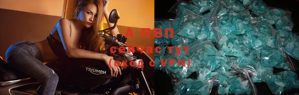 винт Верея