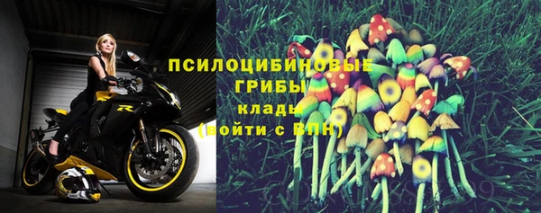 гашик Верхний Тагил